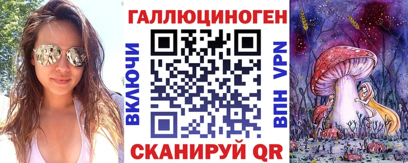 kraken   Алупка  Псилоцибиновые грибы MAGIC MUSHROOMS 